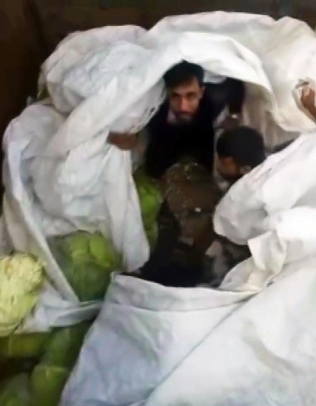 Lahana yüklü tırdan kaçak göçmenler çıktı: Sınır dışı edildiler! 1