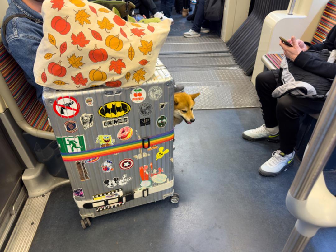 Metro İstanbul duyurdu! İstanbul da yeni dönem! "Ağırlık sınırı ve ikinci valize ek ücret" 3