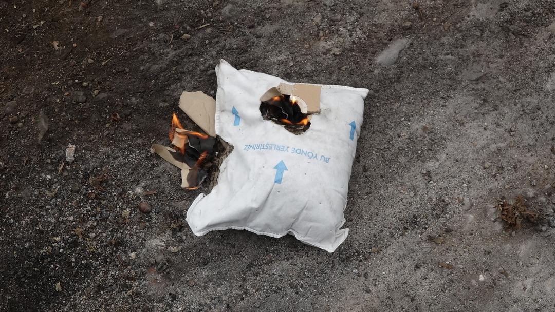 Trabzon u olduğu gibi sardı: Her yerdeler! Sakın dokunmayın uyarısı yapıldı... Kahverengi kokarca kabusu 6