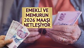 Emekli ve memur zammı için yeni rakamlar! Maaşlar netleşiyor