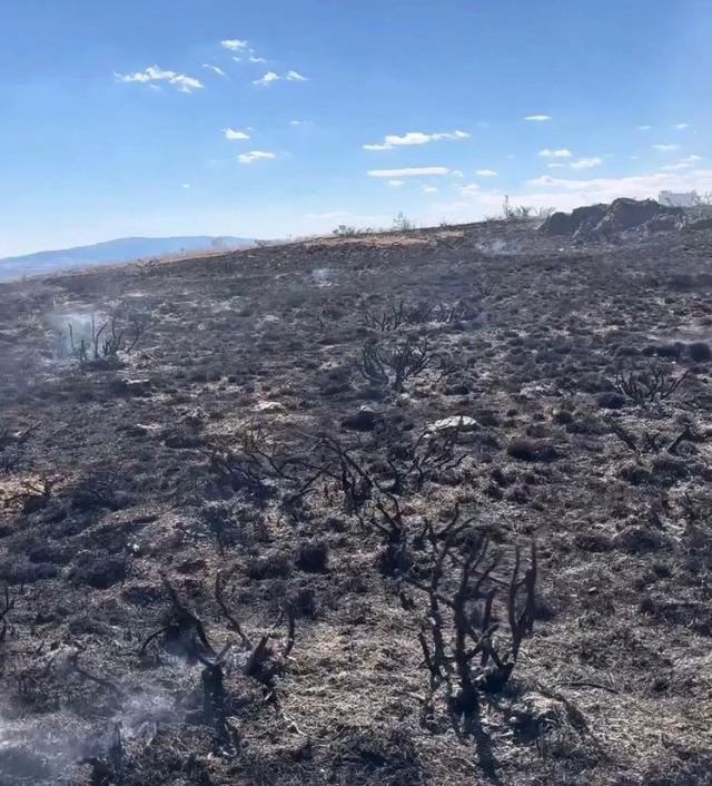 Çankırı’da çıkan arazi yangını söndürüldü 1