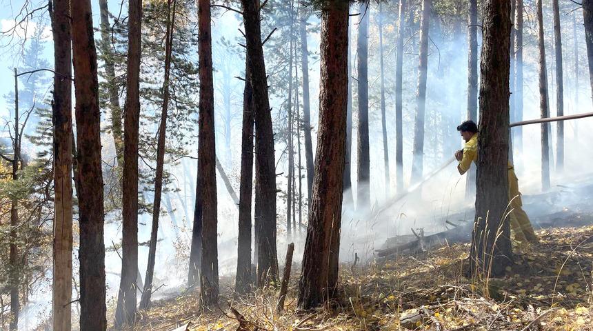 Sarıkamış'ta orman yangını! 1,5 hektar alan zarar gördü