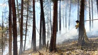 Sarıkamış'ta orman yangını! 1,5 hektar alan zarar gördü