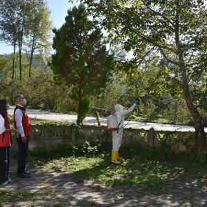 Ordu'da kahverengi kokarcayla mücadelede 20 bin tuzak, 4 bin litre ilaç dağıtıldı