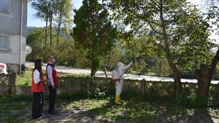 Ordu'da kahverengi kokarcayla mücadelede 20 bin tuzak, 4 bin litre ilaç dağıtıldı