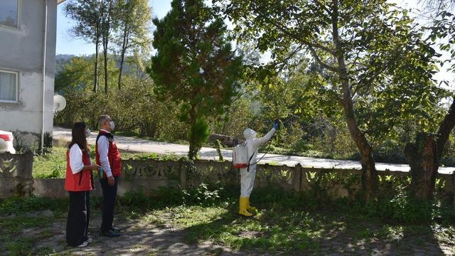 Ordu'da kahverengi kokarcayla mücadelede 20 bin tuzak, 4 bin litre ilaç dağıtıldı
