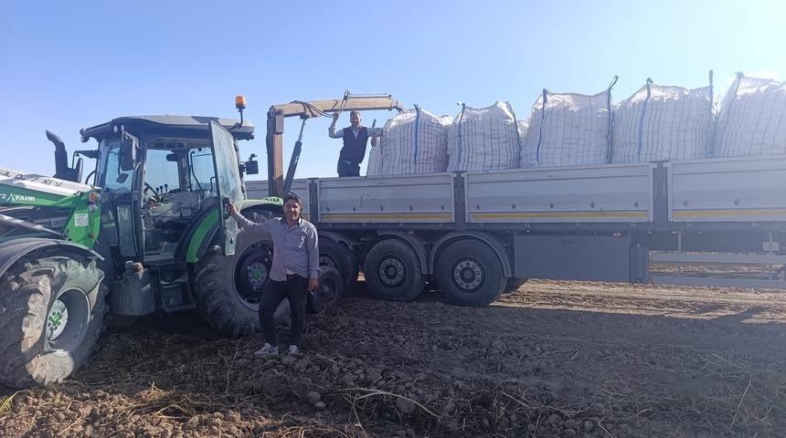 Patnos'ta patates hasadı başladı