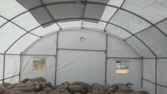 Sındırgı'da depremden etkilenen üreticilere geçici hayvan barınma çadırı desteği