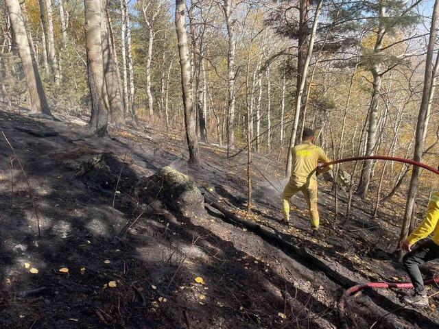 Sarıkamış’ta orman yangını: 2 hektar alan zarar gördü 4