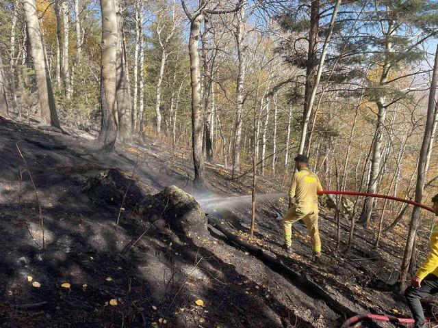 Sarıkamış’ta orman yangını: 2 hektar alan zarar gördü 3