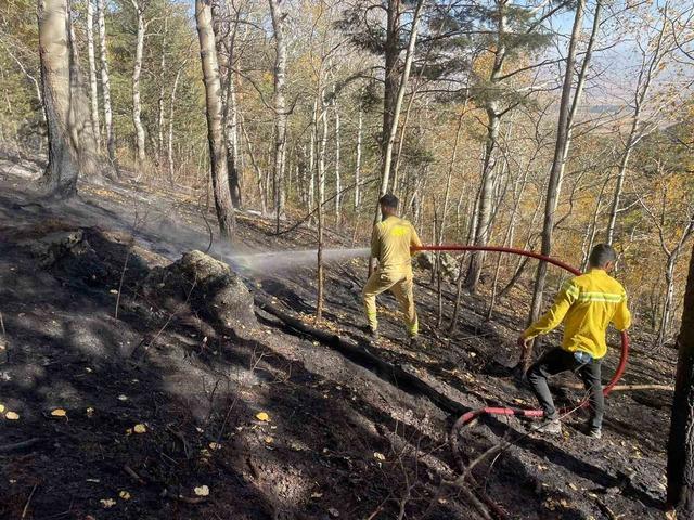 Sarıkamış’ta orman yangını: 2 hektar alan zarar gördü 2
