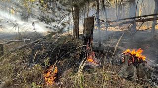 Sarıkamış'ta orman yangını: 2 hektar alan zarar gördü