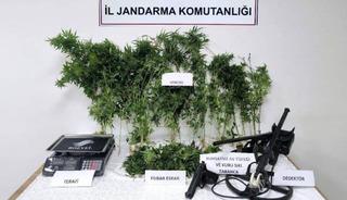 Tokat'ta jandarmadan eş zamanlı uyuşturucu operasyonu