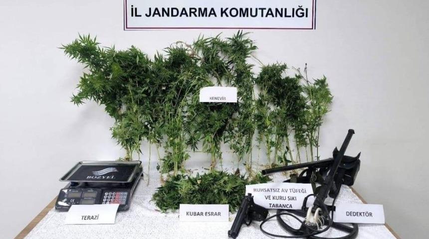 Tokat'ta jandarmadan eş zamanlı uyuşturucu operasyonu