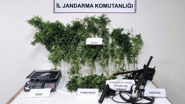 Tokat'ta jandarmadan eş zamanlı uyuşturucu operasyonu