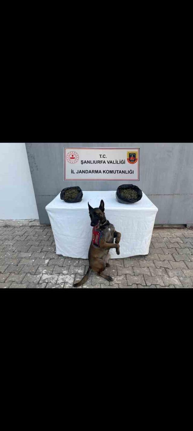 Şanlıurfa’da uyuşturucu ve silah ele geçirildi 3