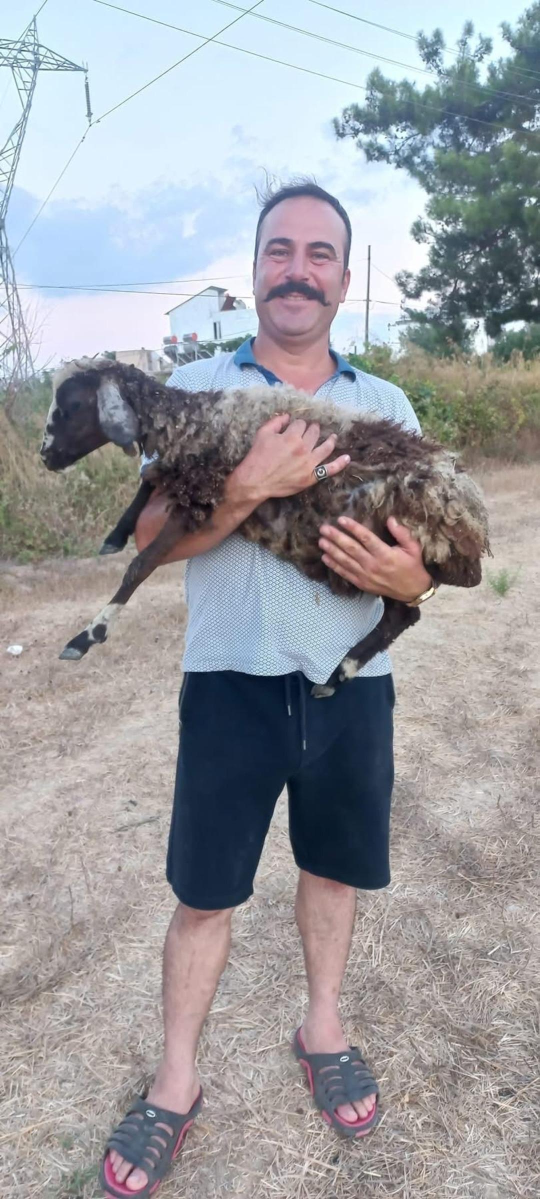 Çöp kamyonunda vahşet! Mesai arkadaşının boğazını kesti... Cinayetten önce video paylaştılar 3