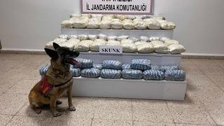 Van'da 47 kilo 800 gram skunk ele geçirildi