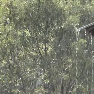 Tunceli’de sağanak yağış etkili oldu