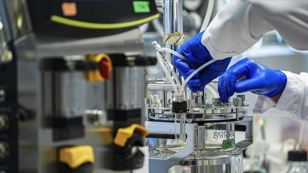 Korku filmi gerçek oldu! Bilim insanları 40 bin yıllık mikrobu canlandırdı...  Buz mezarlığı ndan çıktı 2