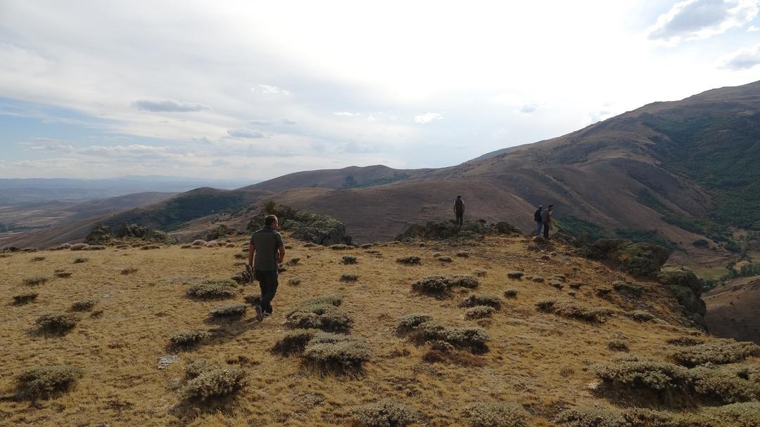 Bayburt ta annesini kaybeden yavru ayı köyü alarma geçirdi! Ekipler harekete geçti 2
