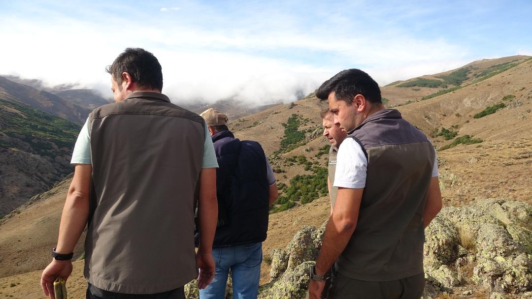 Bayburt ta annesini kaybeden yavru ayı köyü alarma geçirdi! Ekipler harekete geçti 3