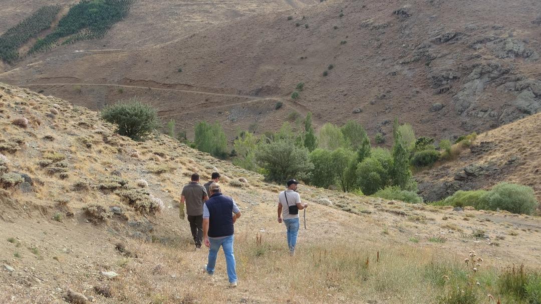 Bayburt ta annesini kaybeden yavru ayı köyü alarma geçirdi! Ekipler harekete geçti 1