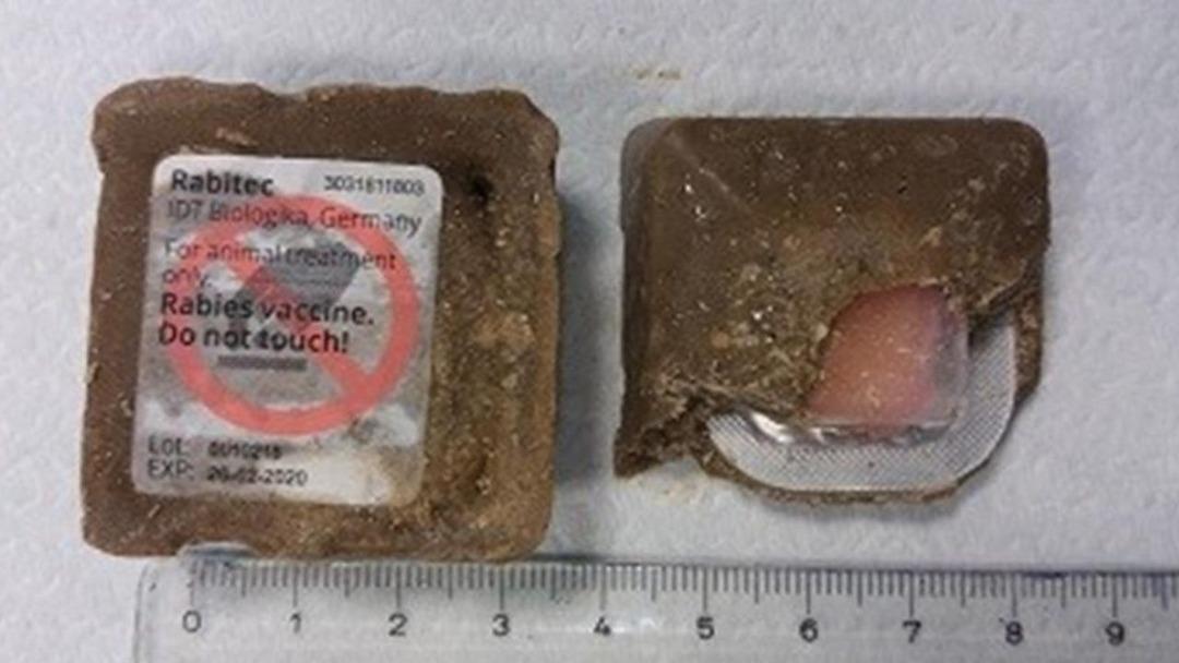 Yerleşim yerlerine düşünce alarma geçtiler! Tek tek herkesi uyardılar: "Gördüğünüz yerde sakın dokunmayın" 2