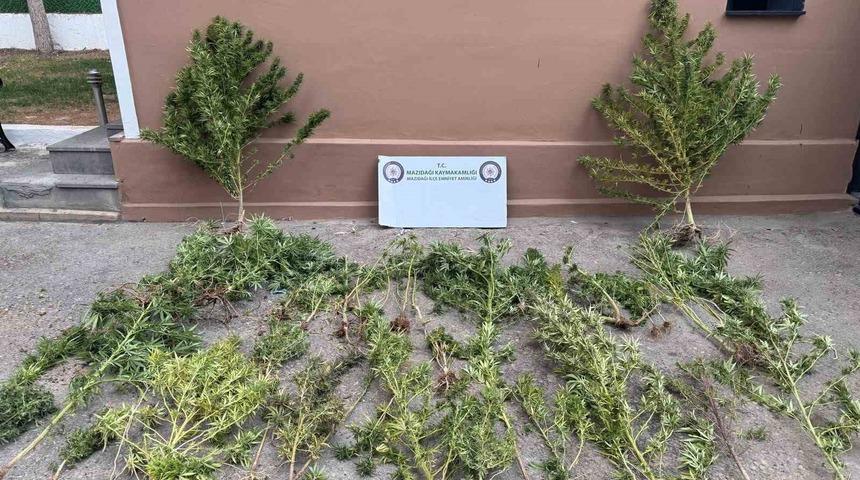 Mardin’de uyuşturucu operasyonu: 3 gözaltı