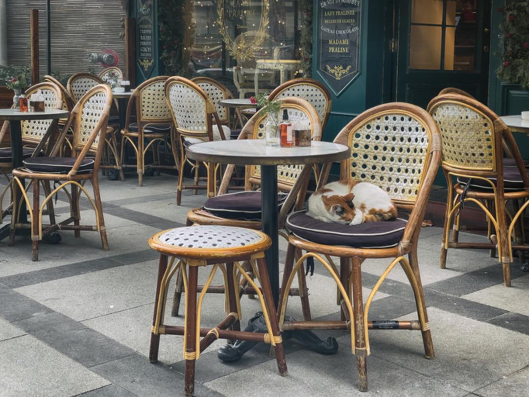 Kafe ve restoranlarda  taksimetre  iddialarına DMM den yalanlama geldi! 2
