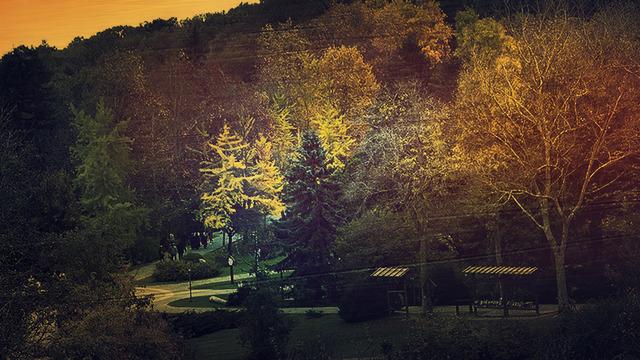 Belgrad Ormanı'nda 'yasak aşk 'dehşeti! Genç kadını kameraya almışlar