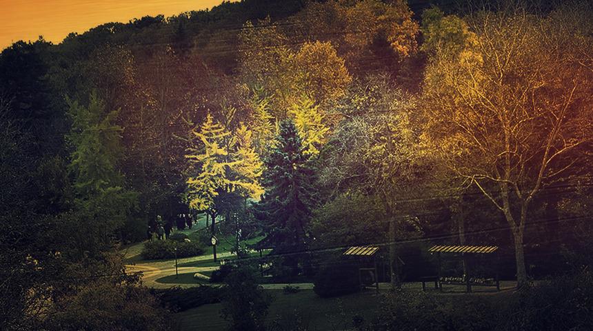 Belgrad Ormanı'nda 'yasak aşk 'dehşeti! Genç kadını darp edip kameraya almışlar