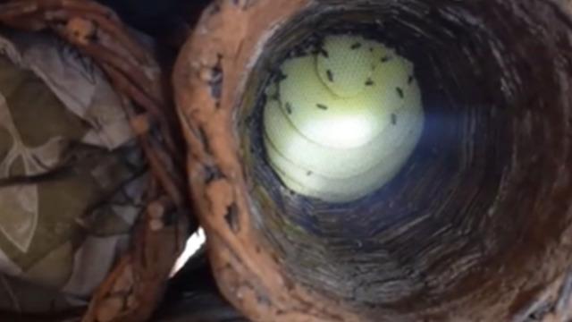 Kilosu 2 bin lira! Çok zor üretiliyor 'Çok güzel pişiyor'