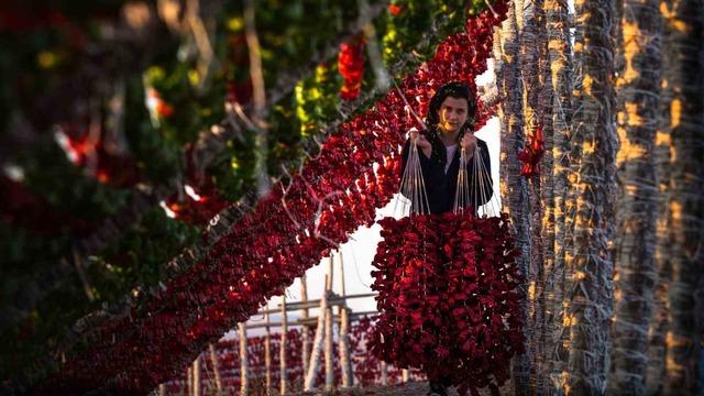 Gaziantep sebze kurutmalıkları küresel lezzet haline geldi