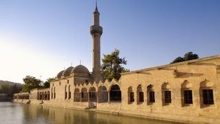 Şanlıurfa'da tarihi eser operasyonu: 2 gözaltı