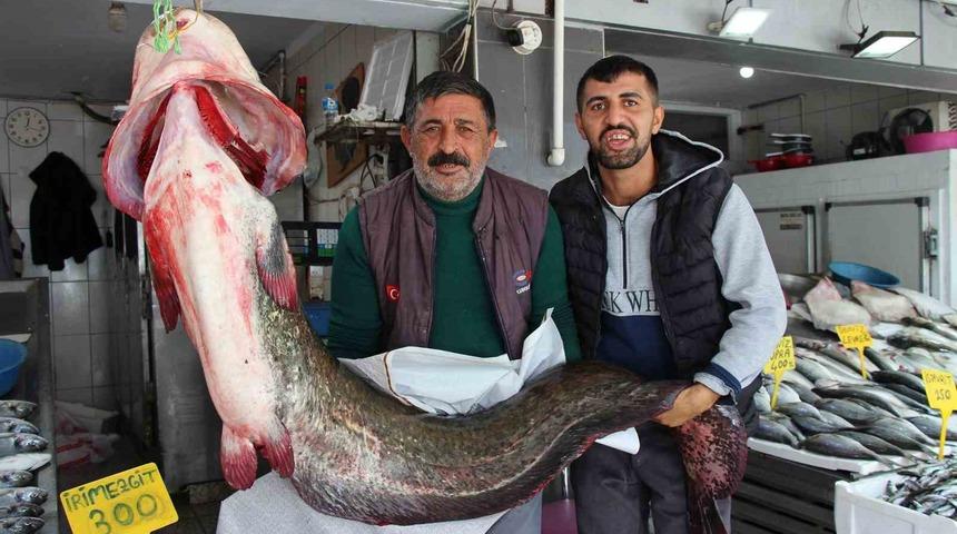 Altınkaya Barajı’nda 85 kiloluk dev yayın balığı yakalandı