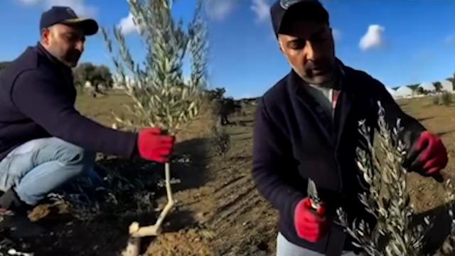 Milyonlarca kişi eleştirmişti! 'Çok sövmüştünüz' diyerek son halini gösterdi