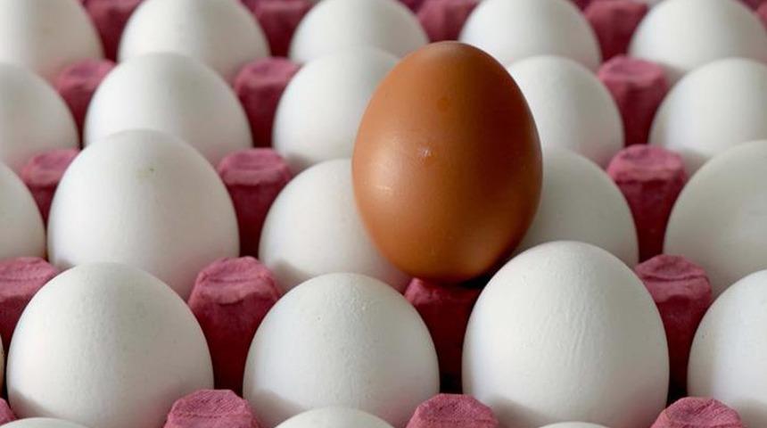 Beslenmenin temel taşlarından biri... Kabuğun içindeki sağlık: Yumurta