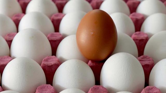 Beslenmenin temel taşlarından biri... Kabuğun içindeki sağlık: Yumurta