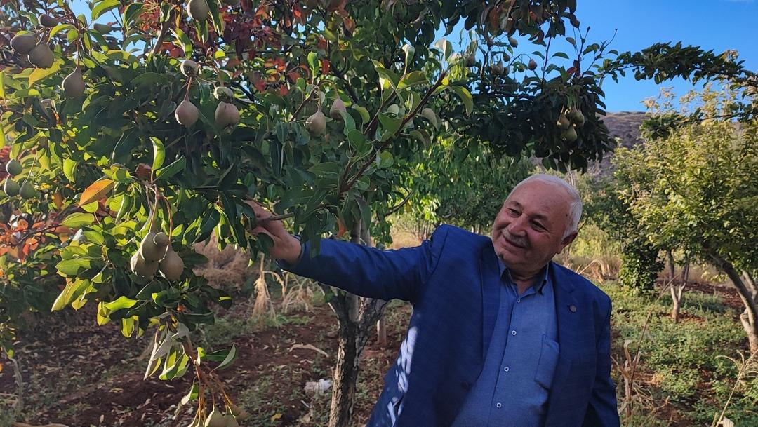  60 yıldır yaparım, ilk defa başıma geldi  Görenler inanamadı, tersine döndü 4