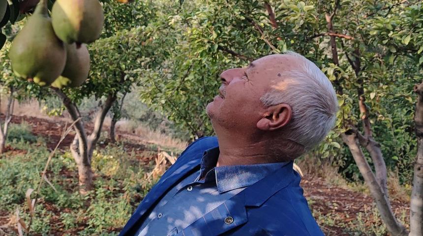 '60 yıldır yaparım, ilk defa başıma geldi' Görenler inanamadı, tersine döndü