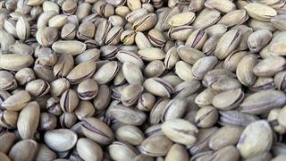 Türkiye'nin 9 aylık fıstık ihracatı 152 milyon 622 bin dolar oldu