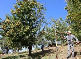 Çalışma saatleri sabah 08.00 ile akşam 17.00 arası! İşçi günlük ücretleri belli oldu