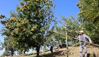 Çalışma saatleri sabah 08.00 ile akşam 17.00 arası! İşçi günlük ücretleri belli oldu