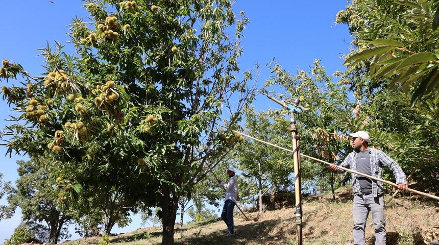 Çalışma saatleri sabah 08.00 ile akşam 17.00 arası! İşçi günlük ücretleri belli oldu