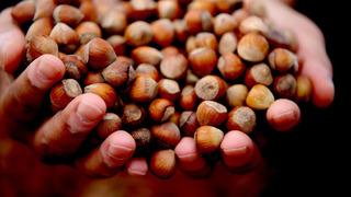 Düzce'de 15 bin 288 ton ihraç edildi