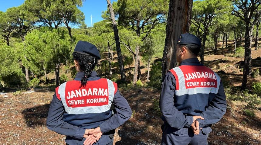 Bu çiçeği koparana 557 bin TL ceza