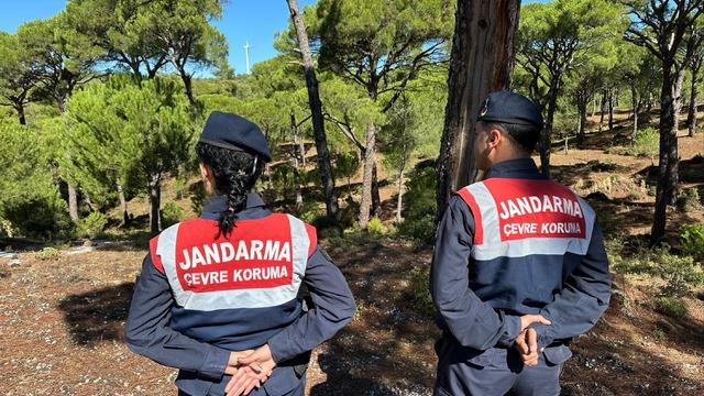 Bu çiçeği koparana 557 bin TL ceza