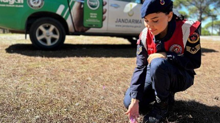 Bu çiçeği koparan yandı! Cezası dudak uçuklatıyor