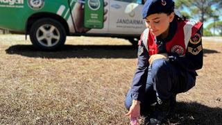 Bu çiçeği koparan yandı! Cezası dudak uçuklatıyor